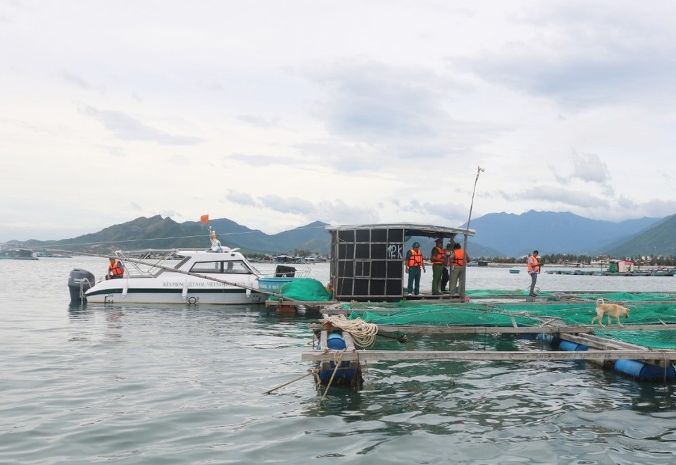 “Thủ phủ” tôm hùm, cá bớp… trên Vịnh Vân Phong chạy bão - 1 “Thủ phủ” tôm hùm, cá bớp… trên Vịnh Vân Phong chạy bão - 1