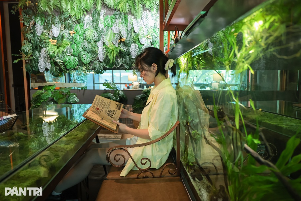 المقهى يشبه غابة صغيرة في وسط هانوي، وطاولة الشرب عبارة عن حوض سمك - 4 Quán cà phê như khu rừng nhỏ giữa phố Hà Nội, bàn uống nước là bể cá - 4