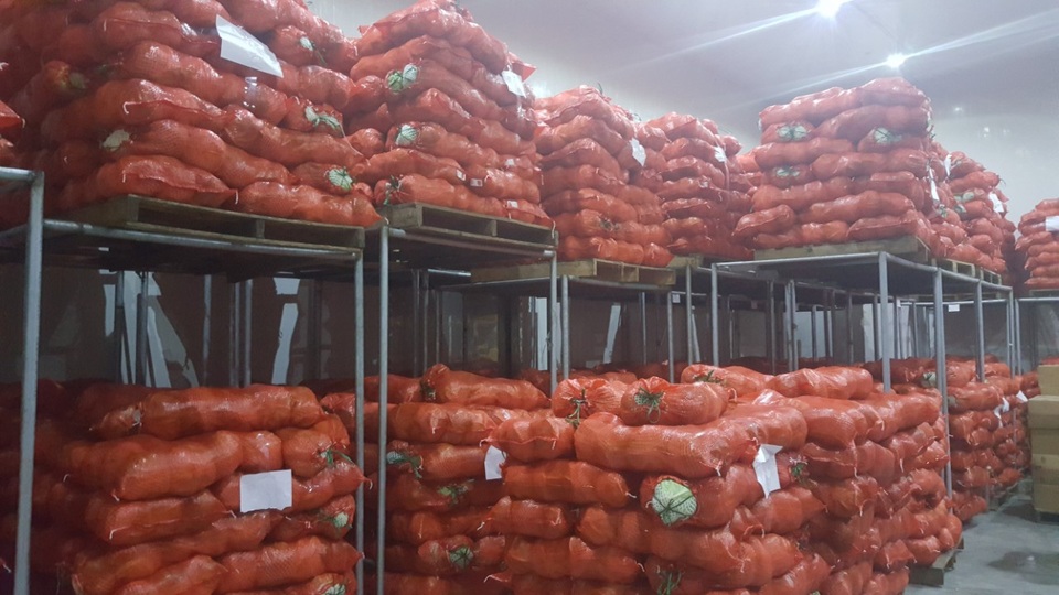 Ác mộng vì dịch: Doanh nghiệp rầu ruột, cả núi nông sản chưa biết đổ đâu - 4 Ác mộng vì dịch: Doanh nghiệp rầu ruột, cả núi nông sản chưa biết đổ đâu - 4
