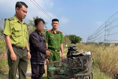Giăng lưới bẫy hơn 140 con chim, người đàn ông ở Tây Ninh bị xử lý