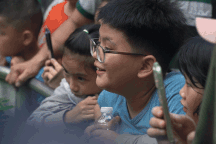 Người dân thích thú tham gia sinh nhật hà mã tại Thảo Cầm Viên