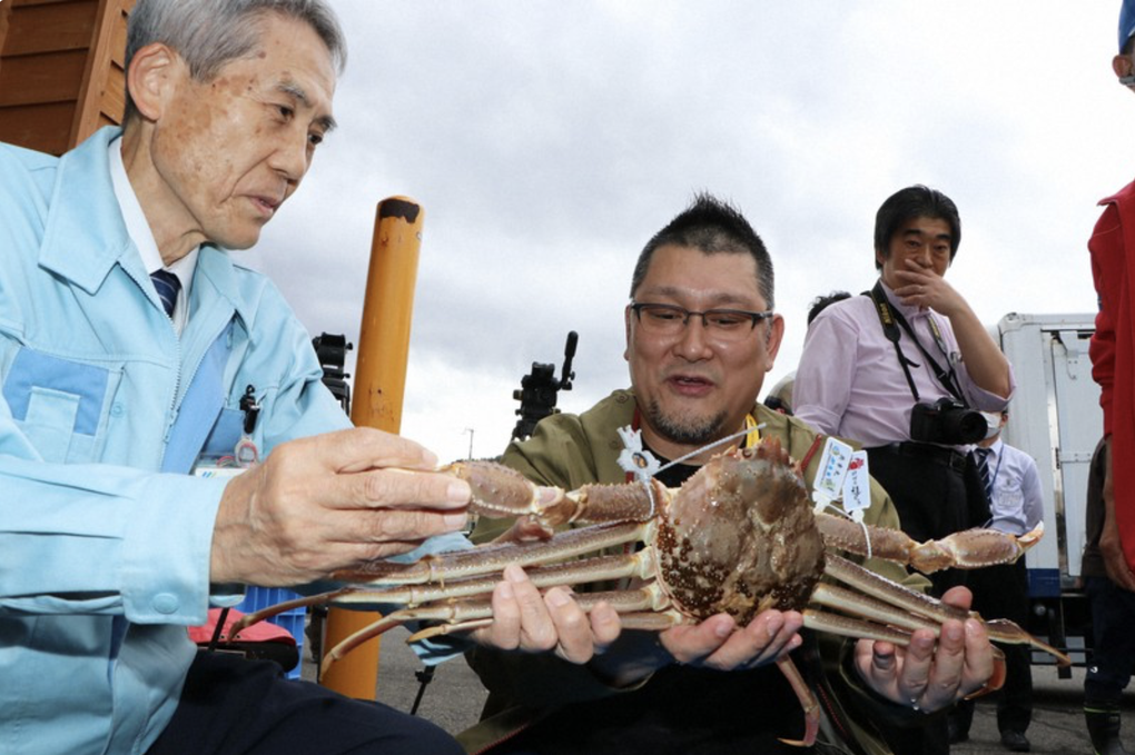 Vì sao con cua tuyết được bán với giá kỷ lục 1,6 tỷ đồng ở Nhật Bản? - 1 Vì sao con cua tuyết được bán với giá kỷ lục 1,6 tỷ đồng ở Nhật Bản? - 1