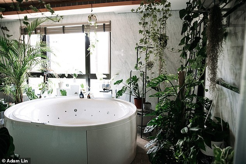 Không gian sống của người đàn ông sở hữu số cây trị giá hơn 1 tỷ đồng - 2 Không gian sống của người đàn ông sở hữu số cây trị giá hơn 1 tỷ đồng - 2