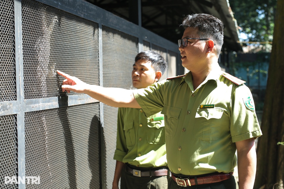 Những người hùng giải cứu động vật hoang dã ở TPHCM - 3 Những người hùng giải cứu động vật hoang dã ở TPHCM - 3