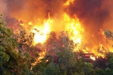 Chủ động phòng tránh cháy rừng trong mùa khô hạn