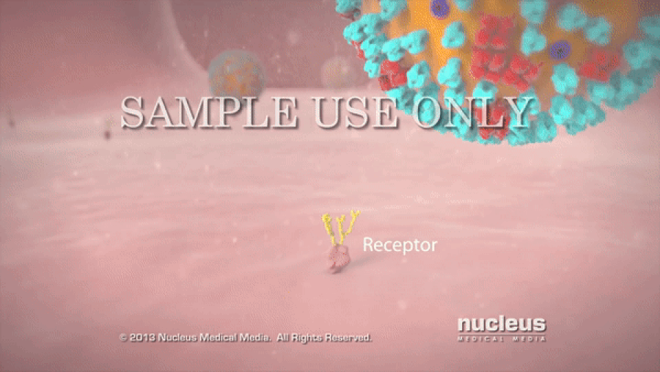 Giải mã “vũ khí” bí mật khiến bệnh cúm lây lan với tốc độ chóng mặt - 4