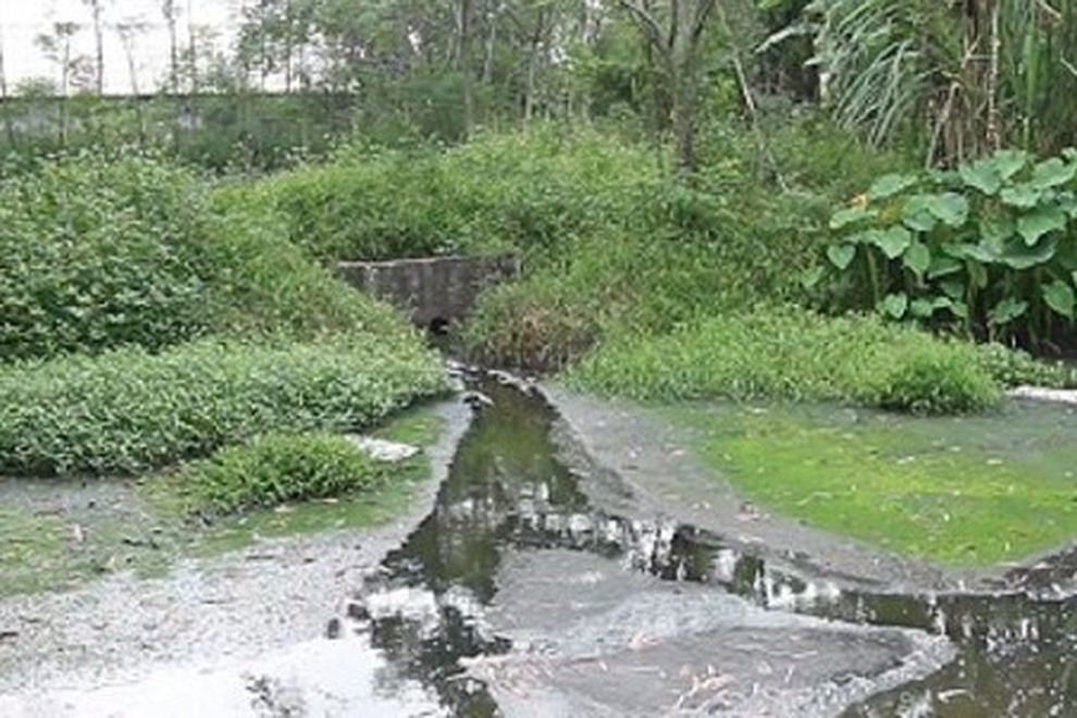 Phạt hàng trăm triệu đồng trang trại lợn gây ô nhiễm - 1 Phạt hàng trăm triệu đồng trang trại lợn gây ô nhiễm - 1