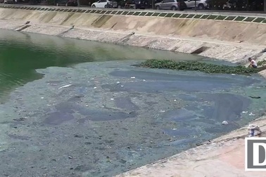 Người dân than khổ vì hồ Ngọc Khánh bốc mùi hôi thối