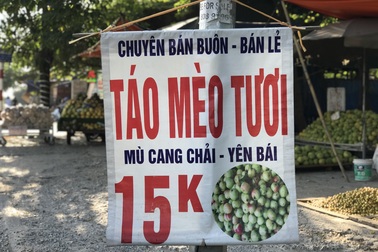 Táo mèo giá rẻ bán la liệt vỉa hè, dân Hà thành gom mua cả chục cân
