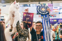 Mèo Việt Nam thắng giải cuộc thi sắc đẹp Đông Nam Á