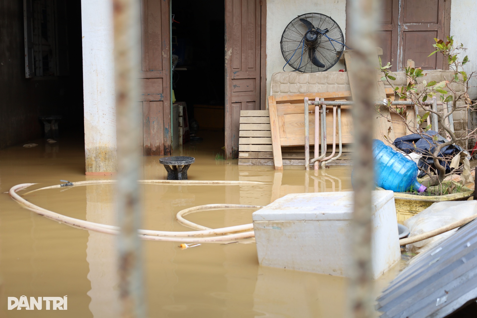 Nhiều nơi ngập sâu, lũ tiếp tục dâng, người dân Nha Trang đưa ô tô lên cao - 10