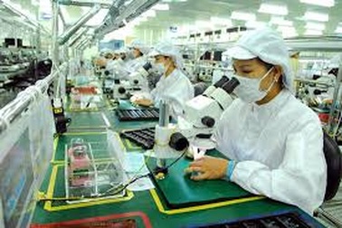 Thanh tra đơn vị cố tình trốn đóng, nợ đóng BHXH