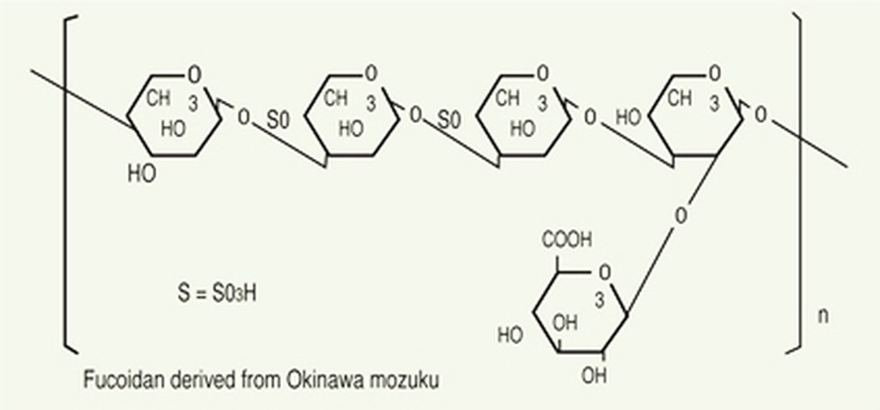 Món quà tuyệt vời cho sức khỏe từ Fucoidan có nguồn gốc từ tảo nâu - 2 Món quà tuyệt vời cho sức khỏe từ Fucoidan có nguồn gốc từ tảo nâu - 2