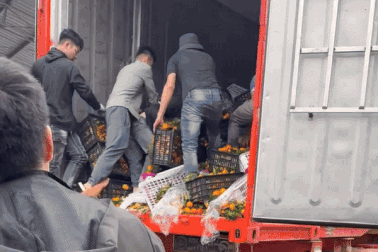 Cảnh đổ quýt ra khỏi ô tô gây sốt mạng xã hội và chuyện ấm lòng đằng sau