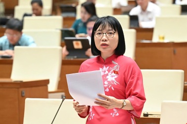 "Mức phạt quá cao có thể gây bức xúc, chống đối hoặc tiêu cực"