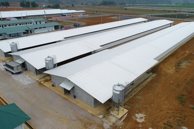 Đi tìm triển vọng cho đầu tư vào nông nghiệp từ tư duy mới về mô hình trang trại