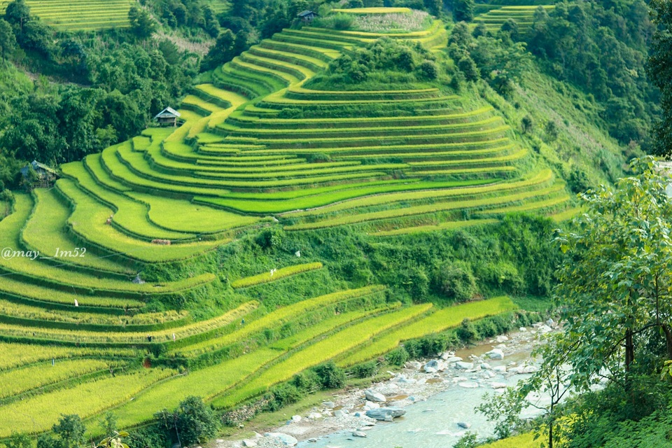 Mù Cang Chải đẹp mê đắm mùa lúa mới! - 2 Mù Cang Chải đẹp mê đắm mùa lúa mới! - 2