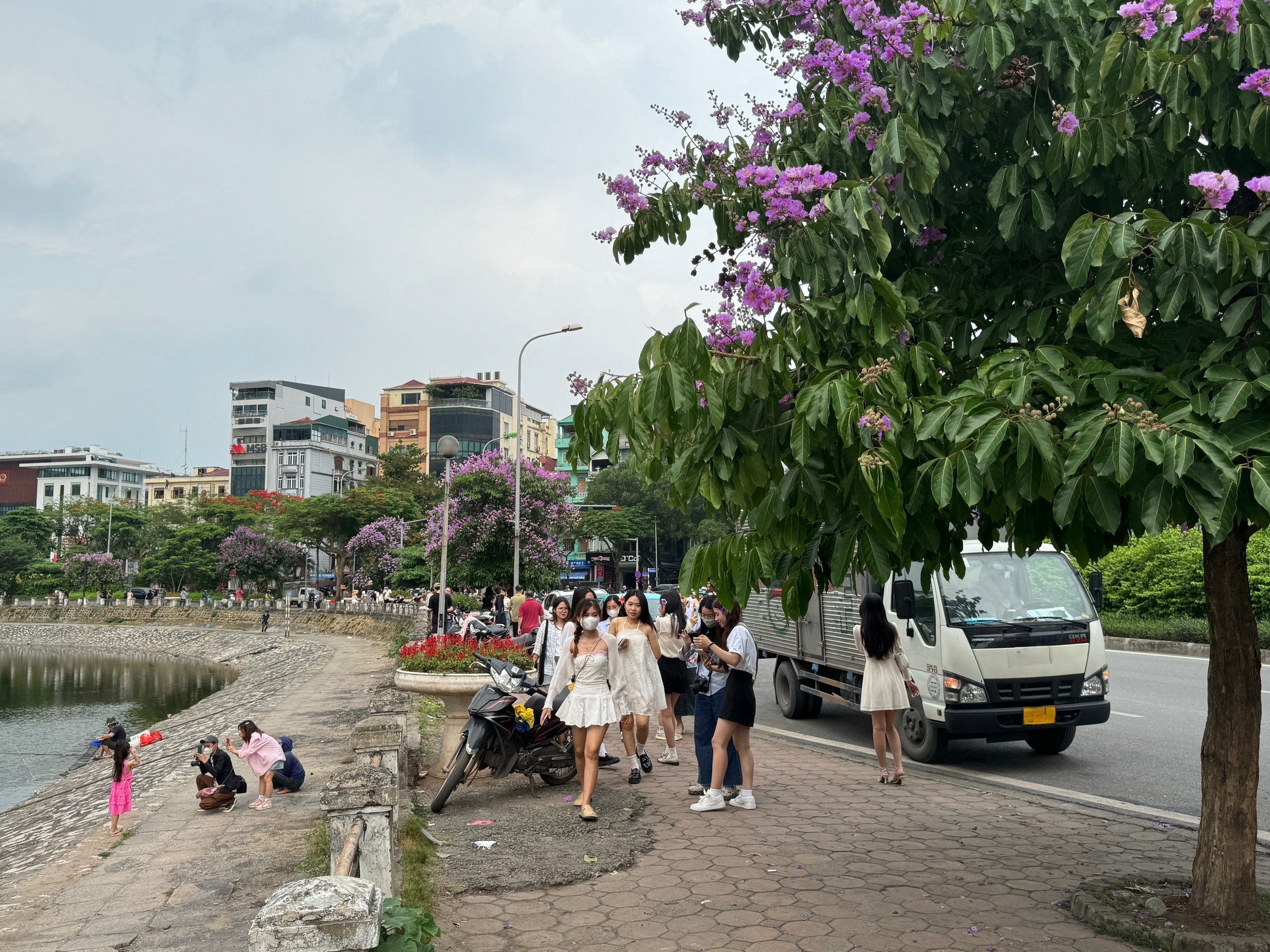 Giới trẻ dậy sớm, đổi vé máy bay để chụp ảnh với hoa bằng lăng ở Hà Nội