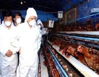 Huy động cả hệ thống chính trị để dập dịch! 