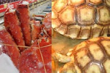 Choáng với mốt 'xơi' sơn hào hải vị giá 'khủng' của đại gia Việt