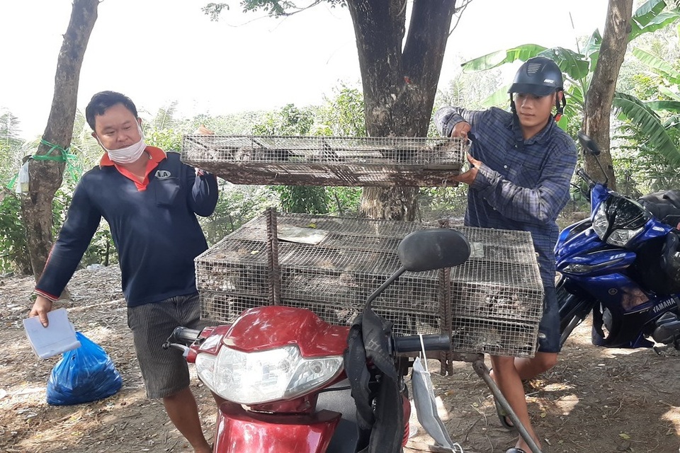Chợ chuột đồng ở vùng biên bán bao nhiêu mua hết bấy nhiêu - 1 Chợ chuột đồng ở vùng biên bán bao nhiêu mua hết bấy nhiêu - 1