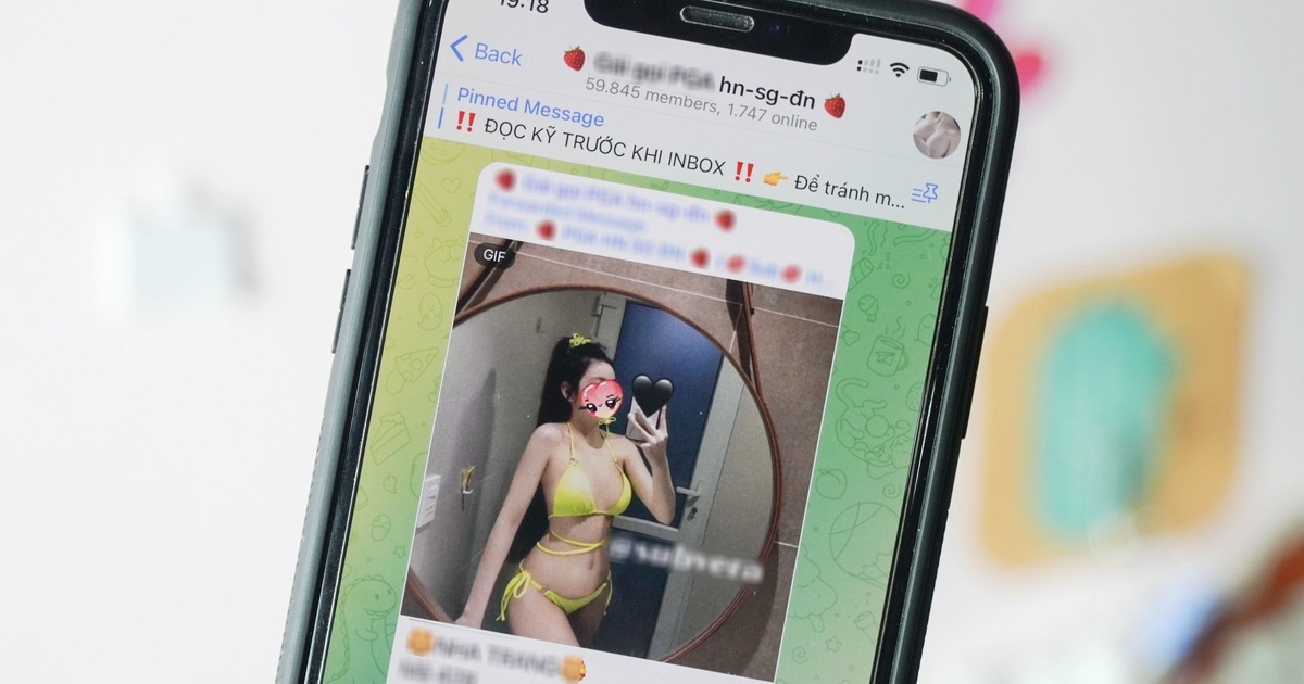 Telegram - "Vùng đất màu mỡ" cho lừa đảo, cờ bạc và mại dâm tại Việt Nam