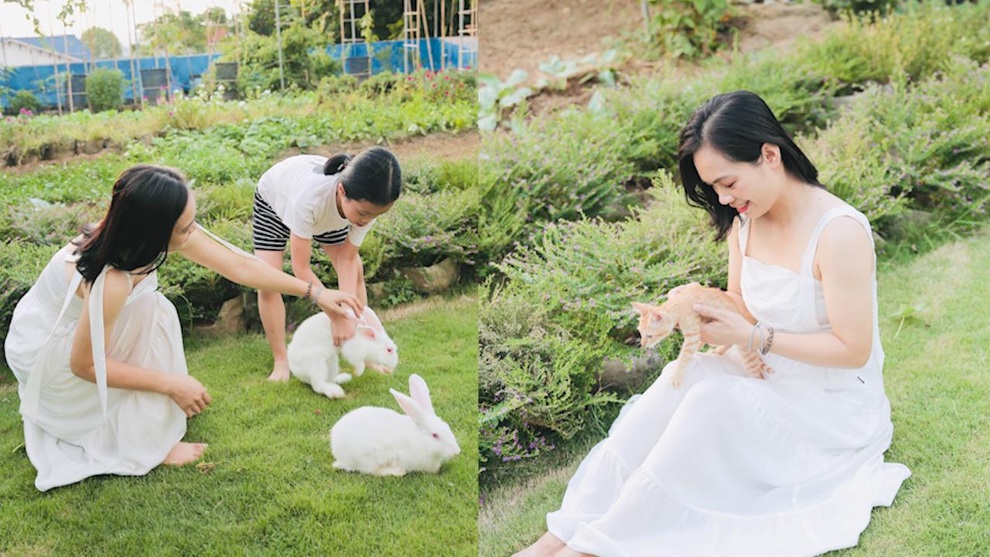 Khu vườn sân thượng siêu to khổng lồ rộng 500 m2 của gia đình Bắc Giang - 2 Khu vườn sân thượng siêu to khổng lồ rộng 500 m2 của gia đình Bắc Giang - 2