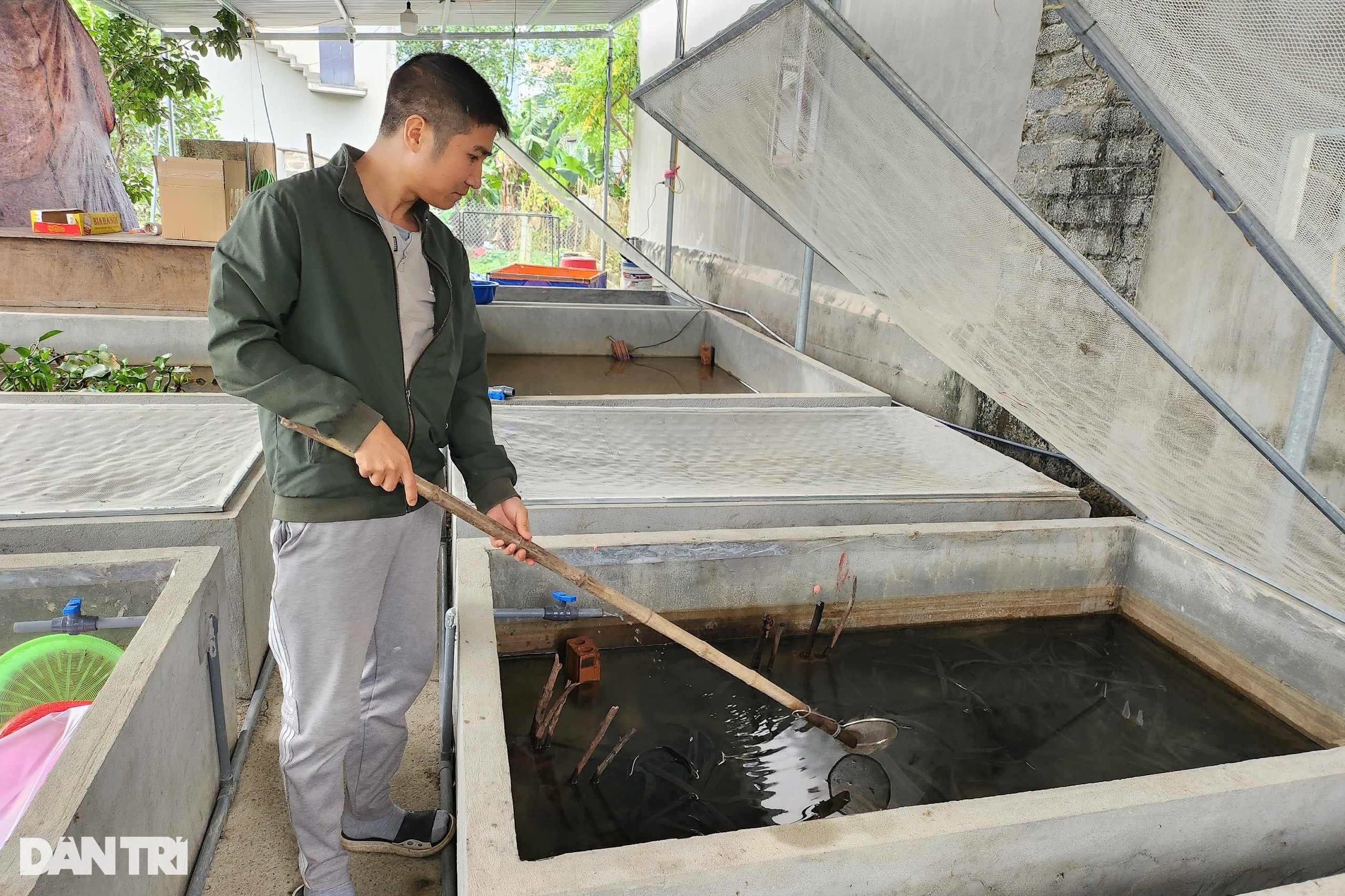 Bí quyết nuôi con chết đến đít còn cay qua mùa đông của ông chủ trẻ - 2 Bí quyết nuôi con chết đến đít còn cay qua mùa đông của ông chủ trẻ - 2
