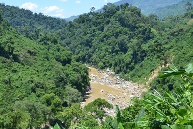 Chủ đầu tư thủy điện “xin” giảm hàng chục héc-ta rừng phòng hộ