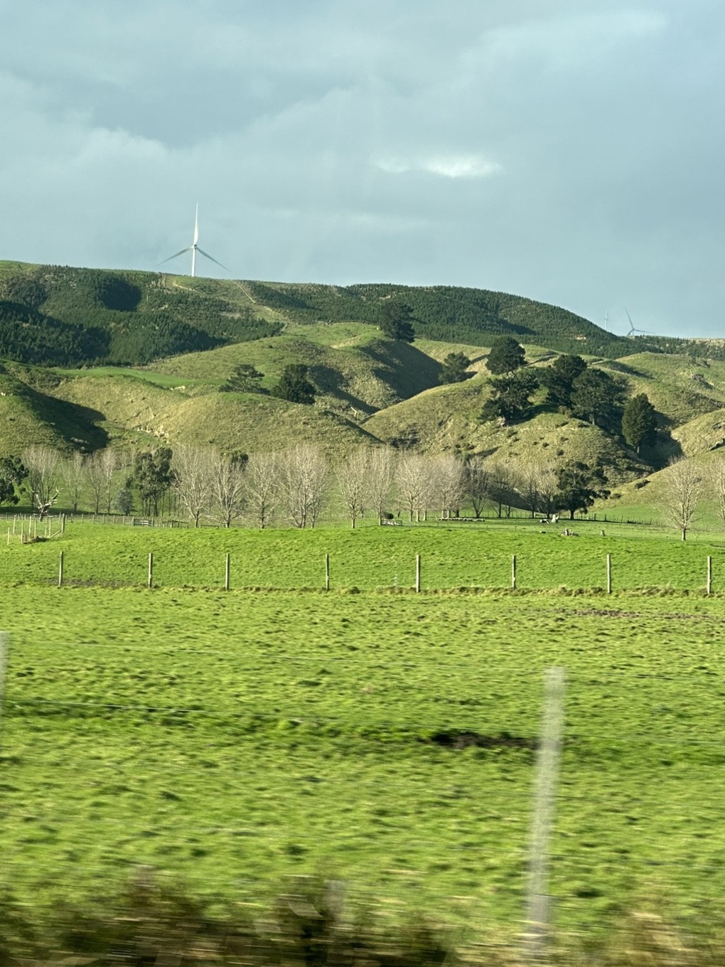 Nữ sinh 14 tuổi nhận học bổng Chính phủ New Zealand - 5