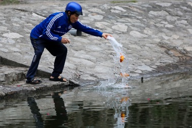 "Phương tiện" tiễn ông Táo vừa thả đã chết nổi ở hồ Hoàng Cầu