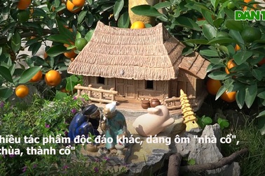 Độc lạ những gốc quất "ôm" gỗ lũa, tỏa bóng trên mô hình thành cổ