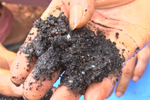 Đắk Nông phạt một doanh nghiệp sản xuất phân bón giả 115 triệu đồng