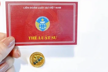 539 luật sư bị kỷ luật xóa tên