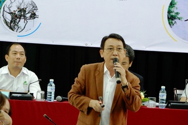 Có nên đánh đổi Sơn Trà để làm du lịch?