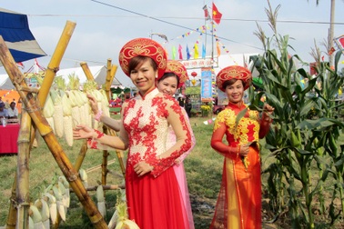 Lo ngại dịch cúm corona: Hội An dừng tất cả các lễ hội