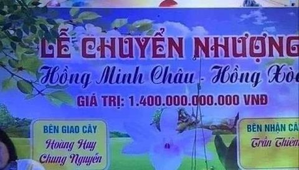 Trái đắng phi điệp đột biến: Công an nhiều tỉnh vào cuộc - 1 Trái đắng phi điệp đột biến: Công an nhiều tỉnh vào cuộc - 1