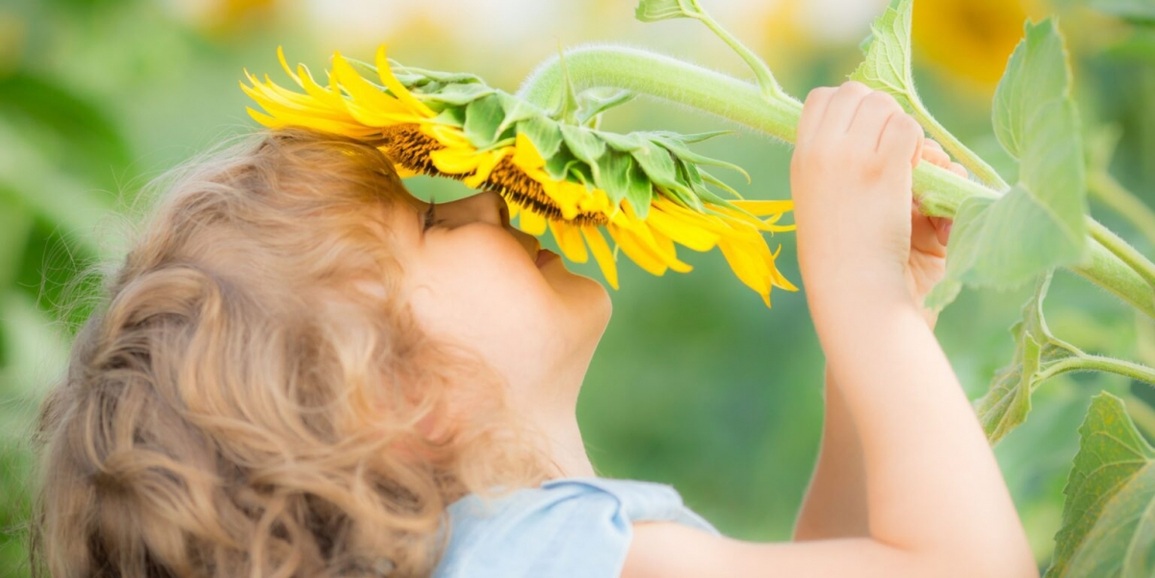 Bí quyết để nuôi dạy những đứa trẻ hạnh phúc - 2 Bí quyết để nuôi dạy những đứa trẻ hạnh phúc - 2