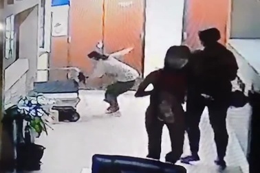 Khoảnh khắc người phụ nữ bất ngờ bị trăn cắn ngay tại văn phòng làm việc