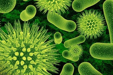 Đường ruột mỗi người chứa một “cộng đồng virus” riêng