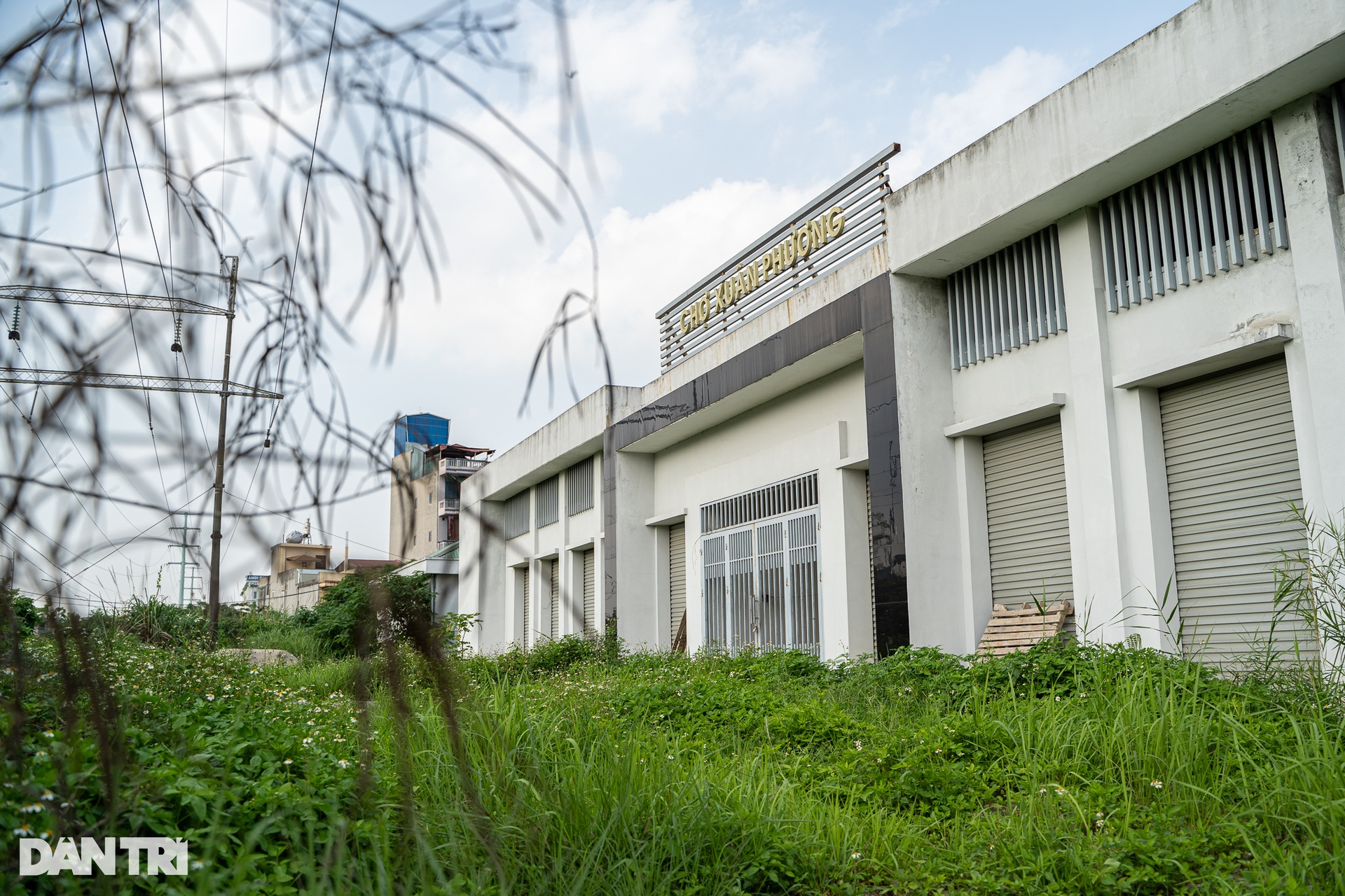 Loạt chợ tiền tỷ bỏ hoang, cây cối mọc thành rừng gây lãng phí tại Hà Nội - 10 Loạt chợ tiền tỷ bỏ hoang, cây cối mọc thành rừng gây lãng phí tại Hà Nội - 10
