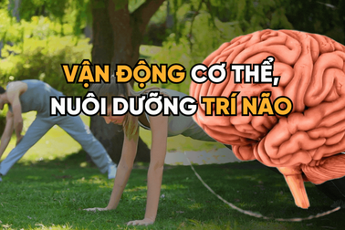Tập thể dục giúp cải thiện trí não như thế nào?