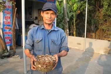 Phát hiện 24kg tiền cổ tại huyện An Lão, TP Hải Phòng
