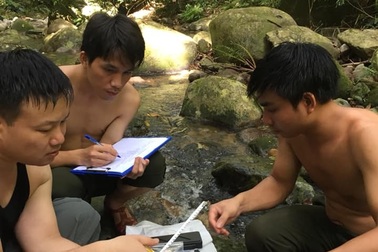 Đa dạng hệ chim, hệ lưỡng cư và bò sát ở Khu bảo tồn Pù Hoạt