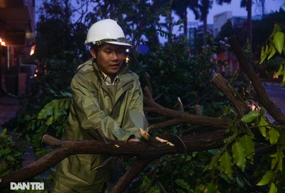Đường phố Đà Nẵng ngổn ngang, cây xanh ngã đổ la liệt sau bão - 11 Đường phố Đà Nẵng ngổn ngang, cây xanh ngã đổ la liệt sau bão - 11