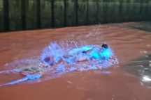 Nước biển ở Hạ Long phát ánh sáng xanh trong đêm: Đẹp nhưng có hại