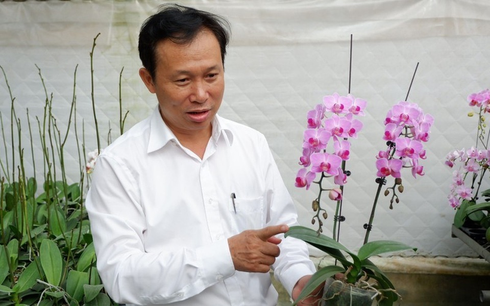 Bí quyết nhận diện lan đột biến tiền tỷ đang khuynh đảo thị trường - 8 Bí quyết nhận diện lan đột biến tiền tỷ đang khuynh đảo thị trường - 8