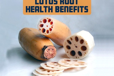 Giá trị dinh dưỡng và lợi ích sức khỏe của củ sen