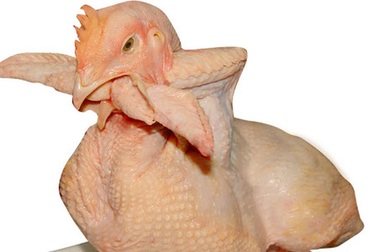 Nhờ báo chí lên tiếng, 4 người đánh bài ăn thịt gà "thoát nạn"