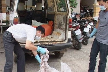 Bị truy đuổi, vứt bỏ hơn 800kg nầm lợn hôi thối tháo chạy